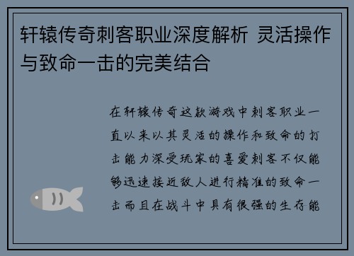 轩辕传奇刺客职业深度解析 灵活操作与致命一击的完美结合